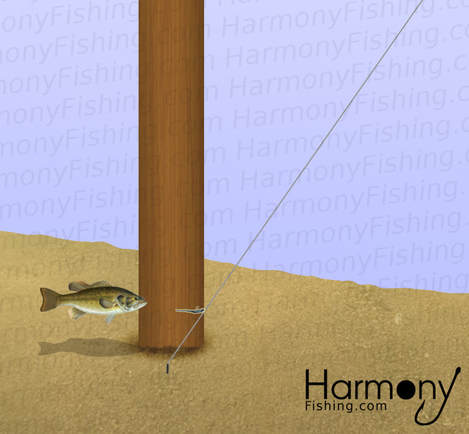 Elke week precedent Temmen How to Dropshot for Bass - What, Where, and How - Harmony Fishing Company